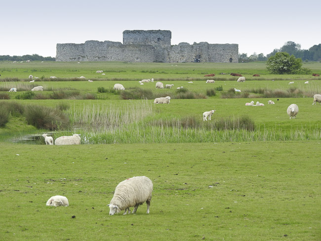 The Showman at Camber Castle