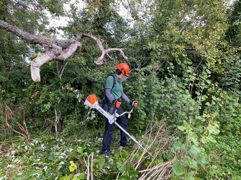 Lederman Trainees - September update