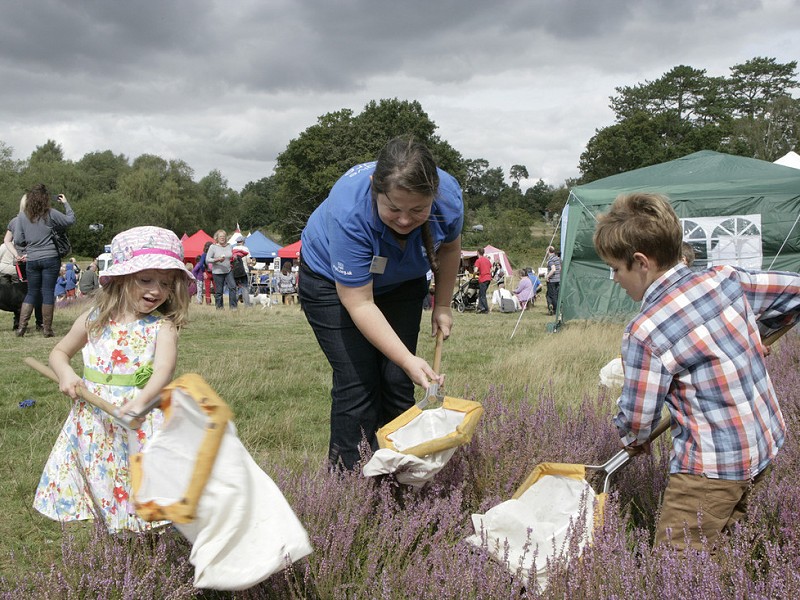 Free family fun and wildlife return to the Heath