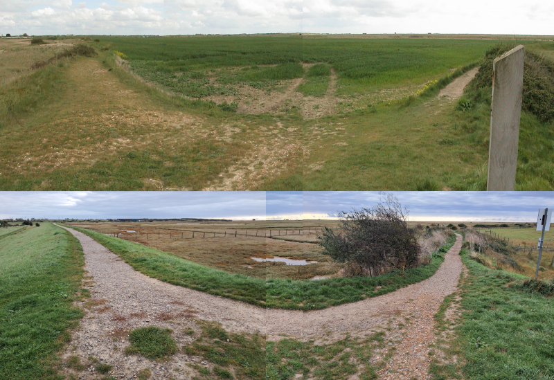 Composite images - before and after the new saltmarsh creation at Rye Harbour. Top images Barry Yates, bottom images Charlie Peverett