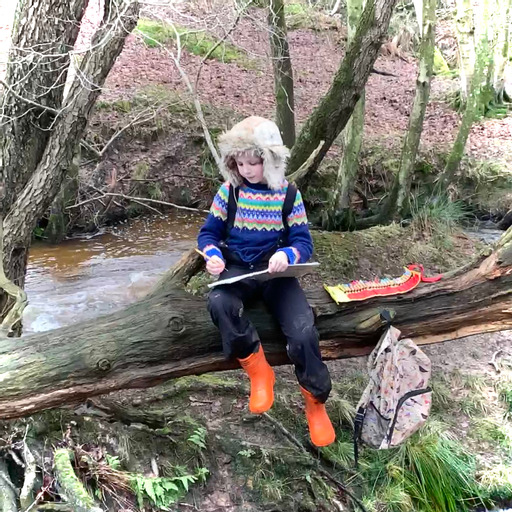 Finding nature's treasures, the adventures of a young naturalist