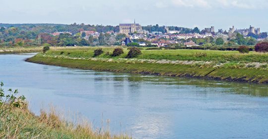 Arundel Bypass: Please write to the Environment and Transport Secretaries