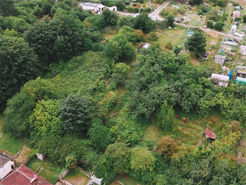 Moulsecoomb Allotments Nature Site