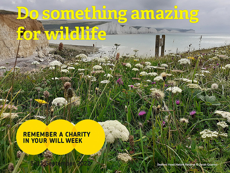 Remember Sussex Wildlife Trust in your will