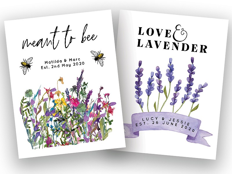 Love-in-the-Mist for Valentine's Day