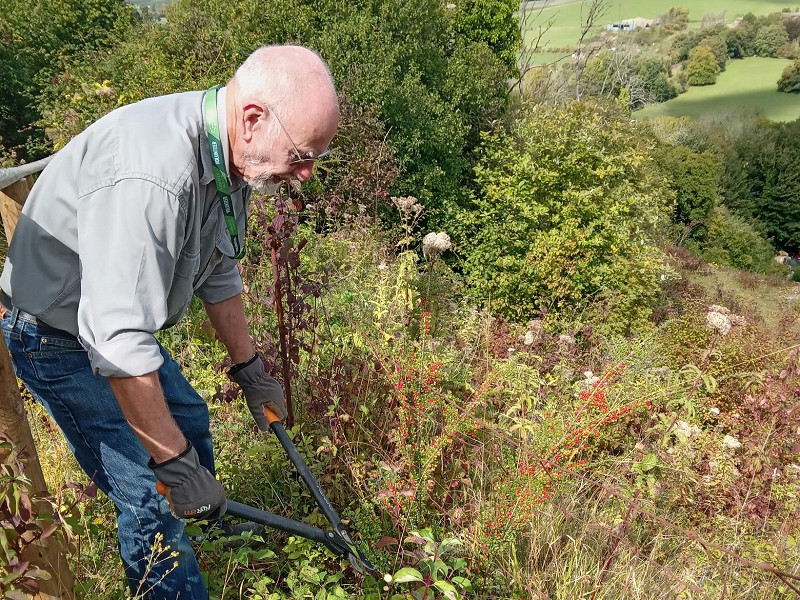 Amberley Museum tools up for habitat improvement, thanks to the Nature Recovery Award