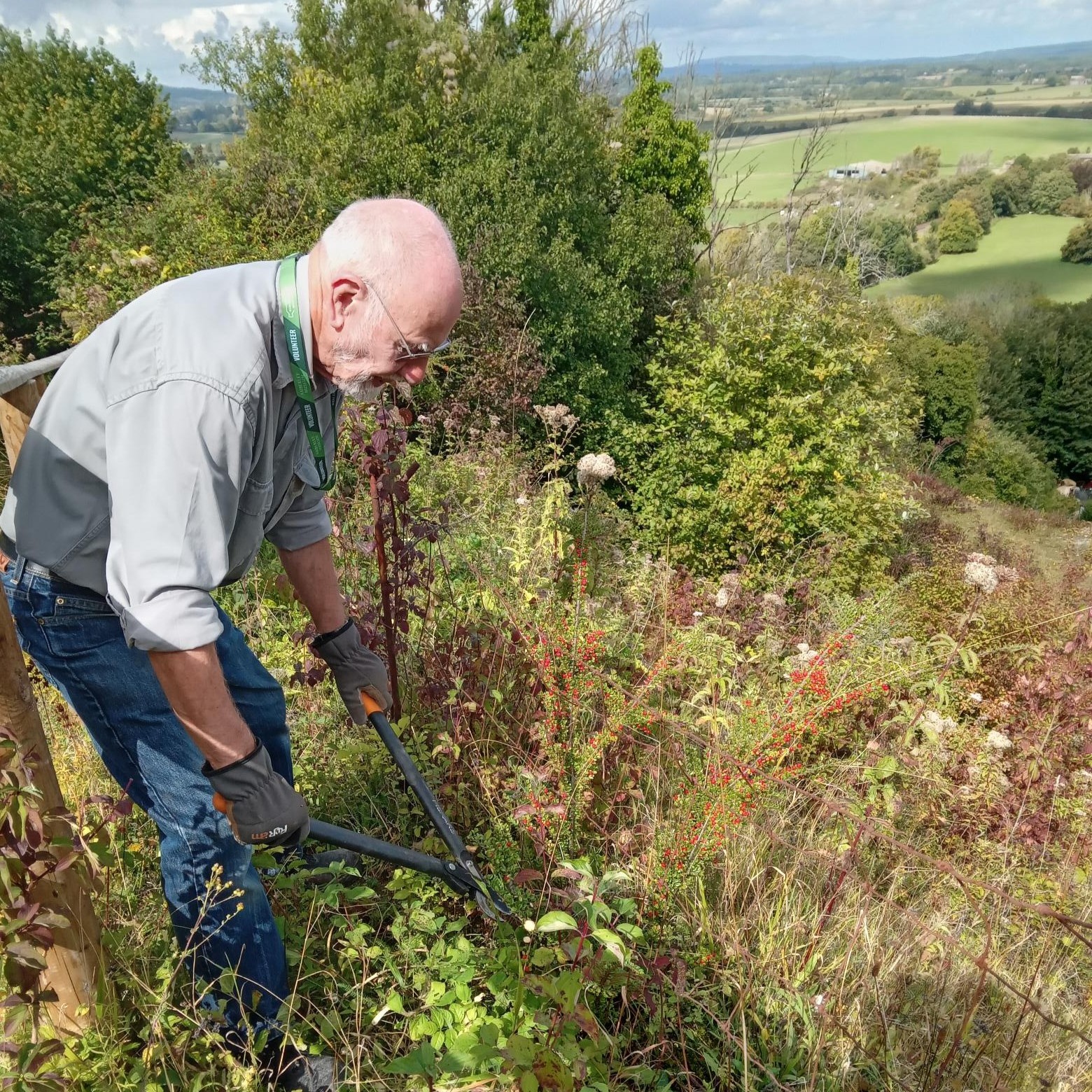 Amberley Museum tools up for habitat improvement, thanks to the Nature Recovery Award