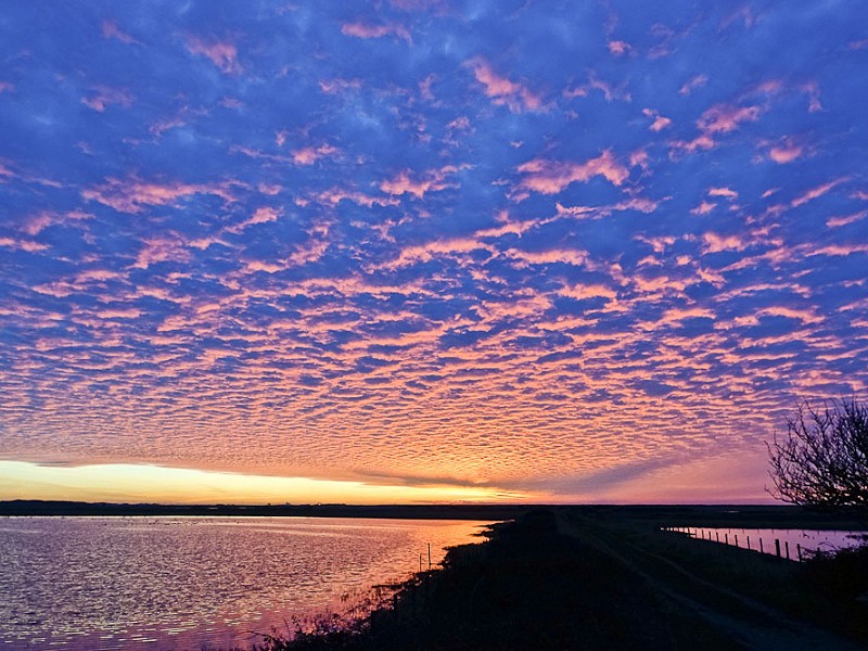 Rye Harbour November Dawn