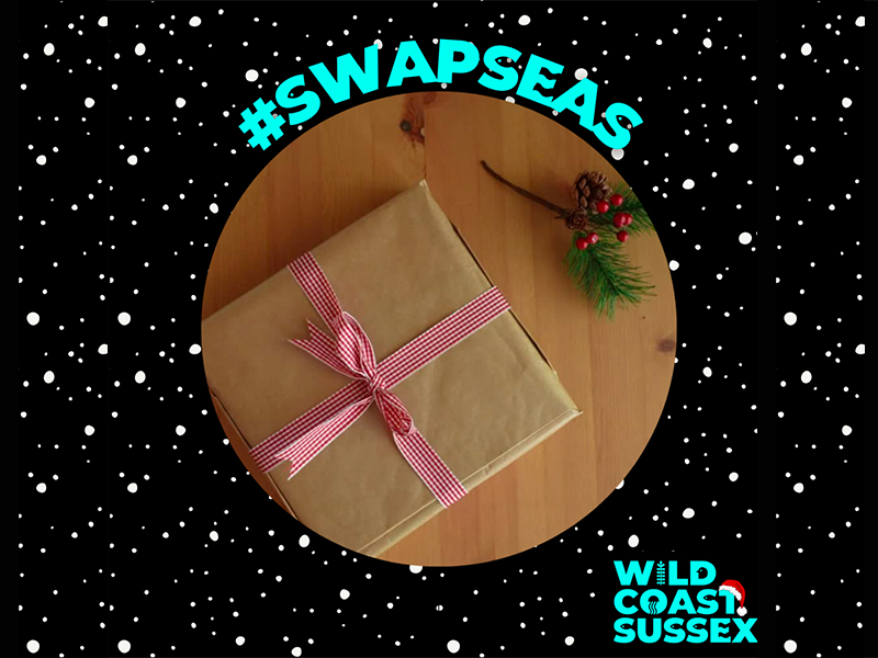 Swapseas! Five Christmas swaps you can make for our seas