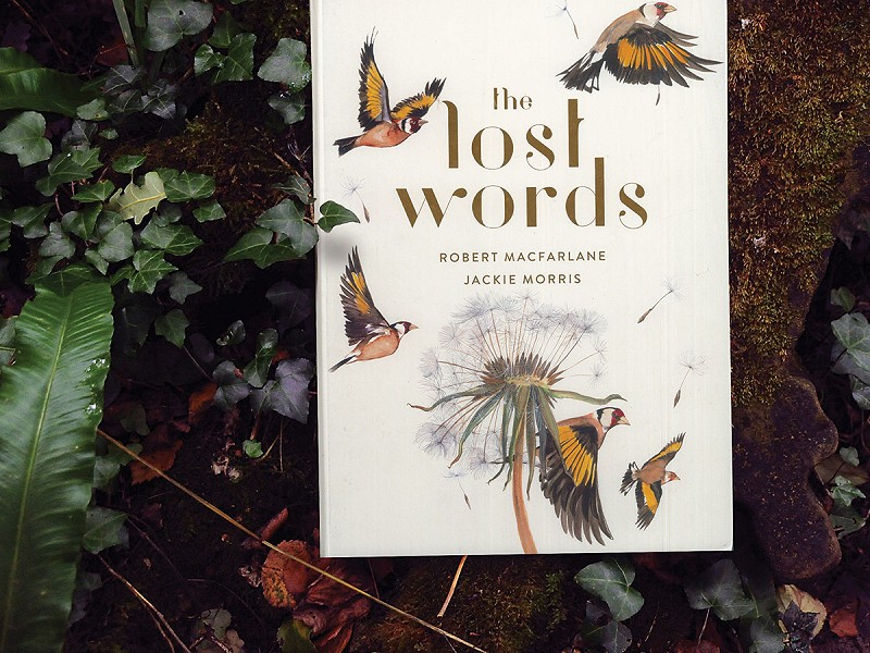 Lost Words Update