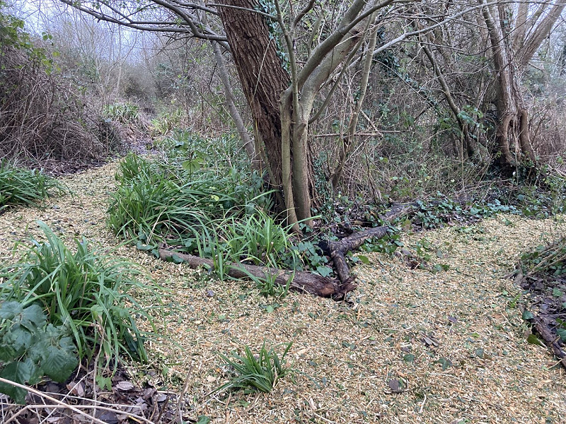 Community Group Focus: Polegate Jubilee Nature Reserve