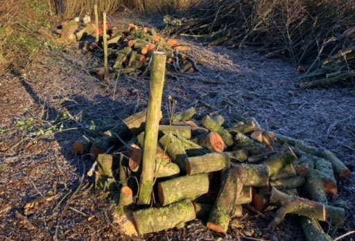 Update from Tim Castle, Heritage Trainee at Rye Harbour Nature Reserve