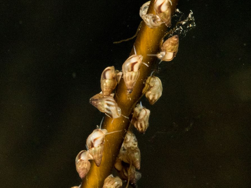 Marine Photo Competition 2025: The winners!