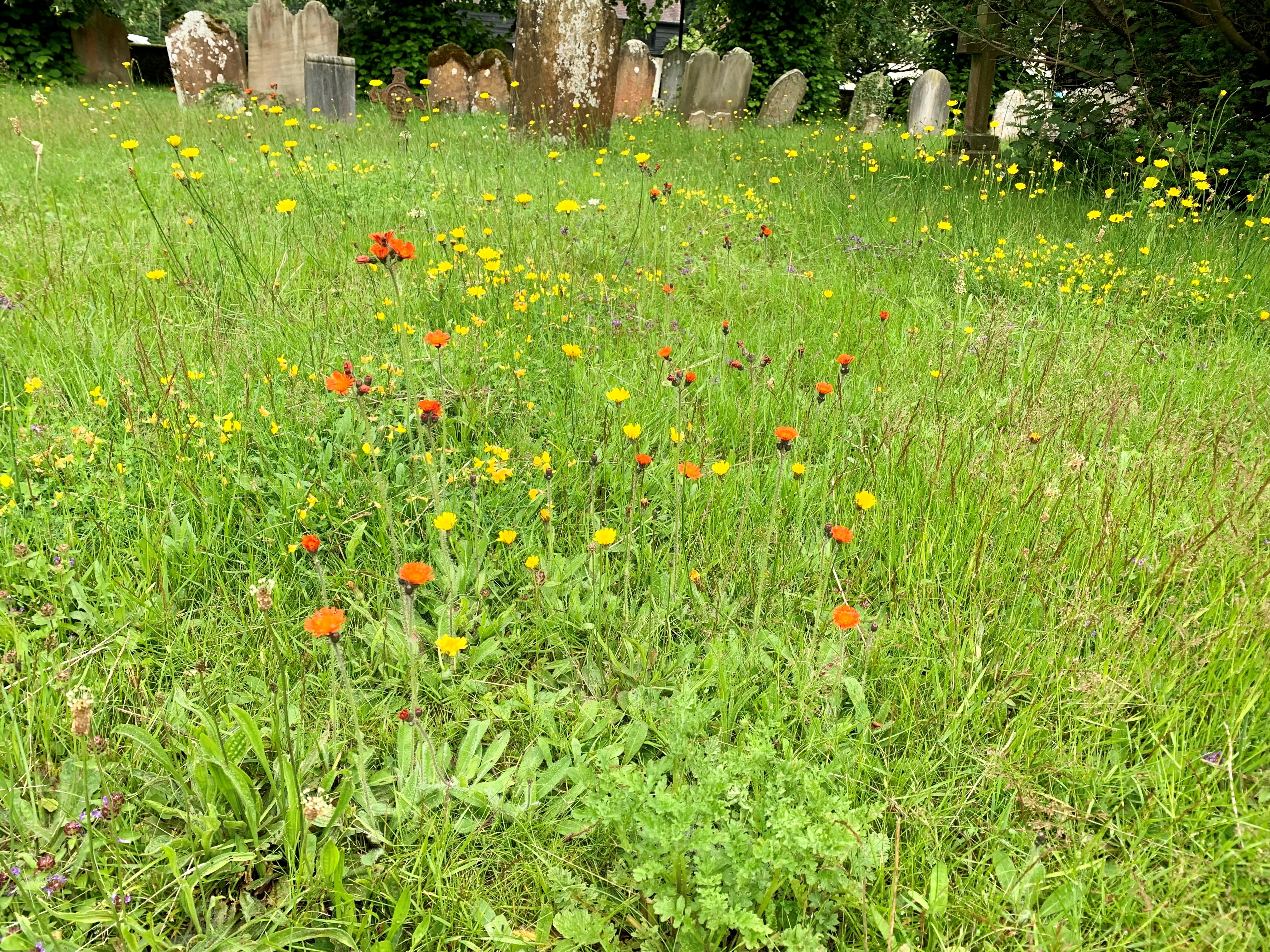 Warnham Churchyard