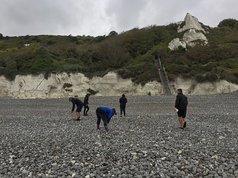 Wild Beach Training