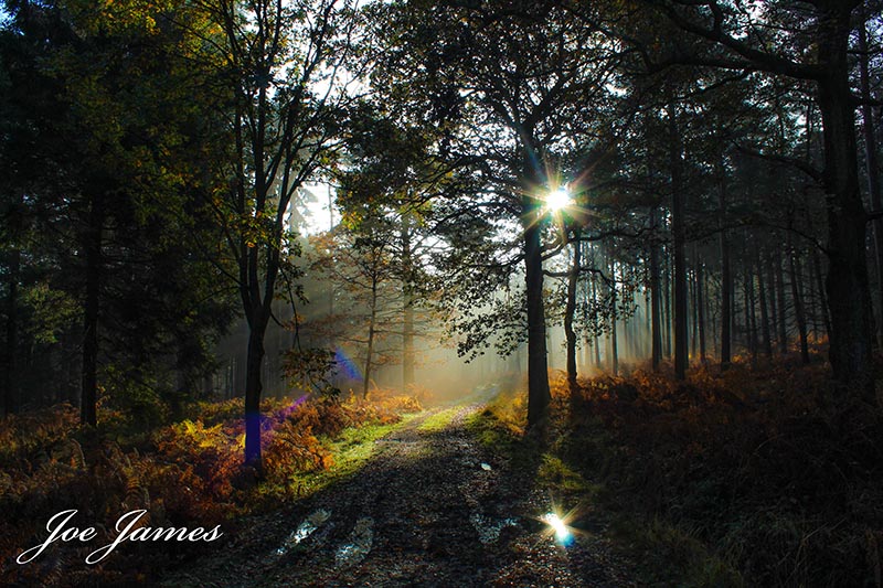 Behind the Lens with Joe James, the 'Autistic Photographer'