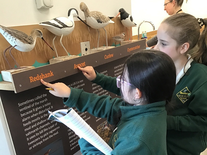 Over 600 children swap the classroom for Rye Harbour Nature Reserve