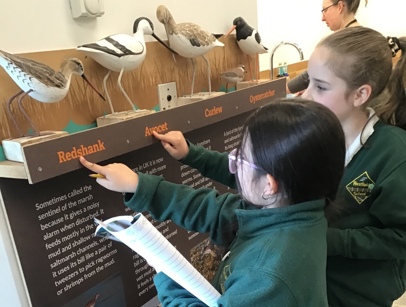 Over 600 children swap the classroom for Rye Harbour Nature Reserve