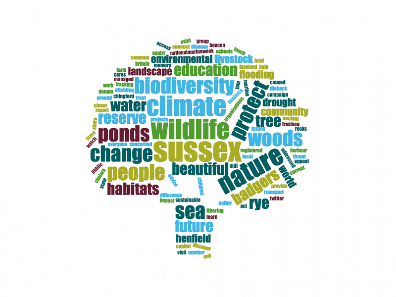 The language of the land
