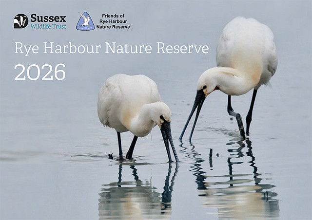 Rye Harbour Nature Reserve Calendar 2026