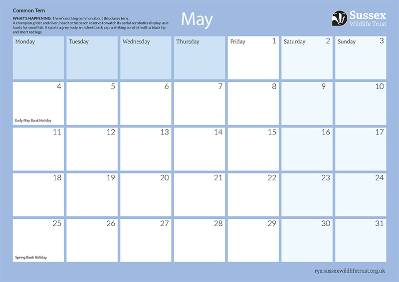 Example calendar page
