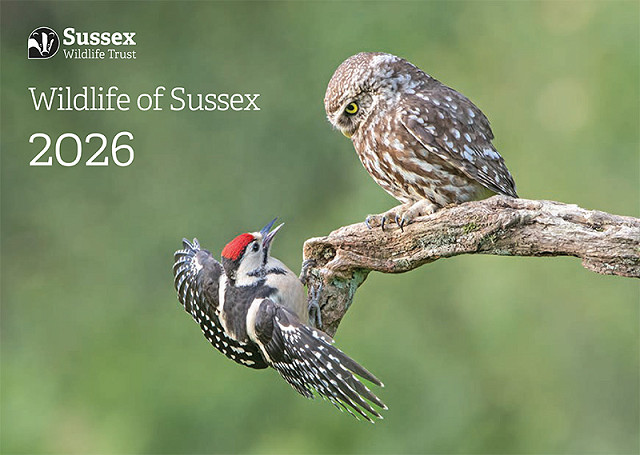Wildlife of Sussex Calendar 2026
