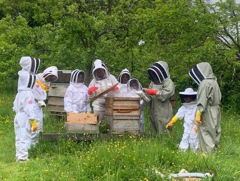 Families taking part in a bee inspection
