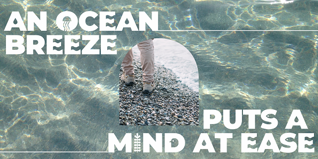 11:30am and 2pm FREE Mindfulness Walk for 16-25s Hastings Beach (BOOKING ESSENTIAL)