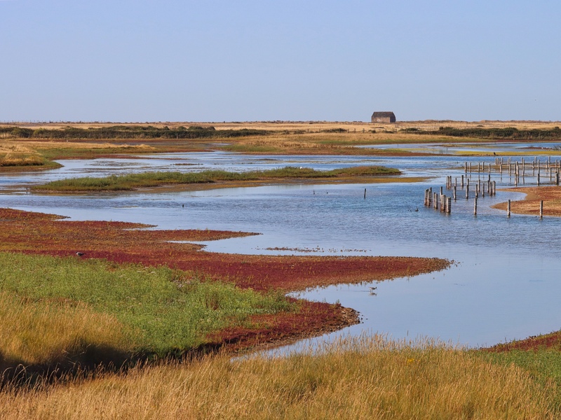 How We're Managing Water Levels at Rye Harbour Nature Reserve