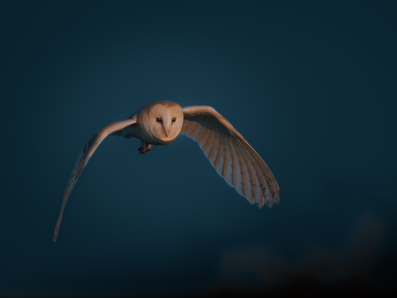 A dark day for nature