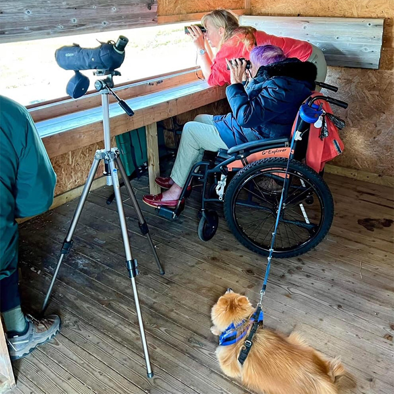 Birdwatching Hide at Rye Harbour © Friends of Rye Harbour
