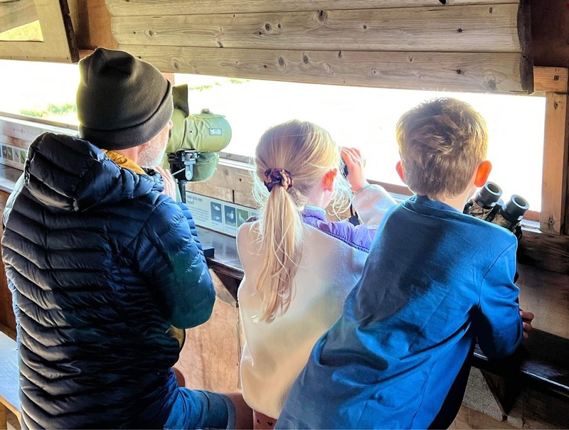Introducing 'Guide in a Hide'