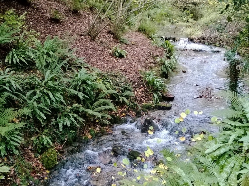 Chalk streams and knuckerholes