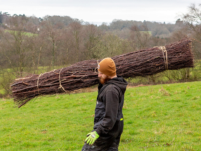 Local businesses invited to a 'wild work day'