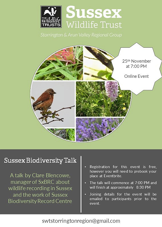 Webinar: Sussex Biodiversity Talk by Clare Blencowe