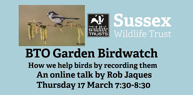 Online talk: BTO Garden Birdwatch - How to help birds by recording them