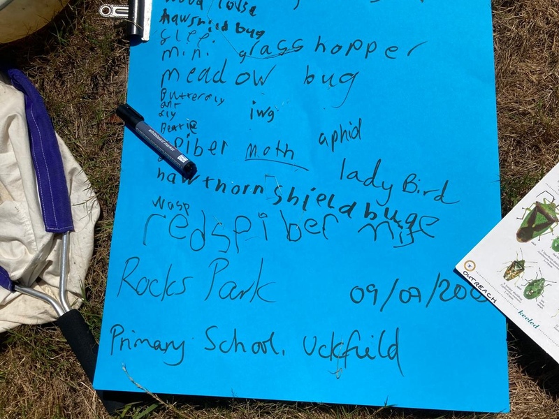 Nature success story - Wilder Learning team work with Rocks Park School
