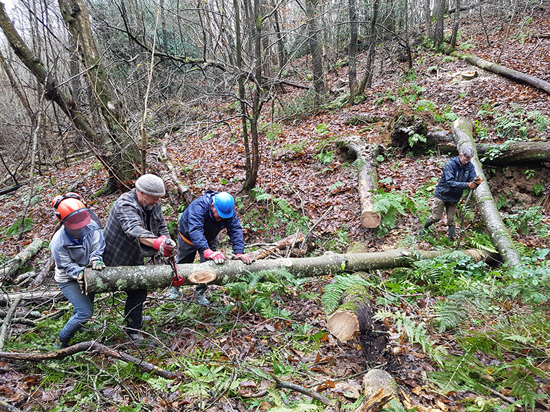 The impact of volunteers on our reserves