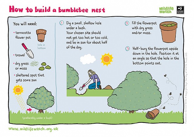 BUMBLEBEE NEST 800