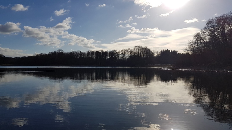 Burton Pond © Sam Roberts