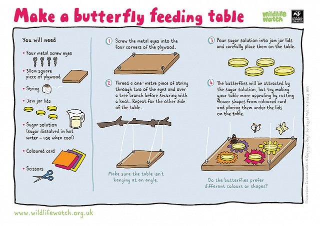 BUTTERFLY TABLE 800