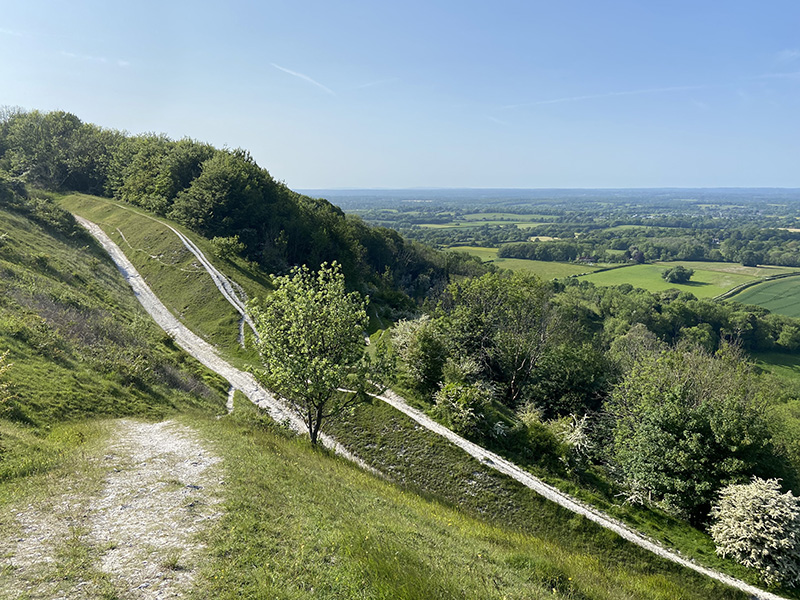 Chalk paths below Blackcap © Nick Ostler Chalk paths below Blackcap © Nick Ostler