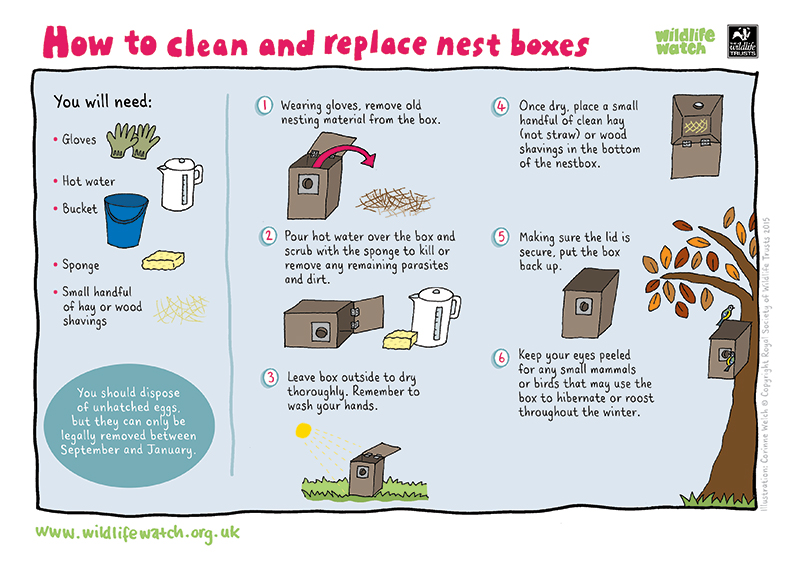 How to clean nest boxes How to clean nest boxes