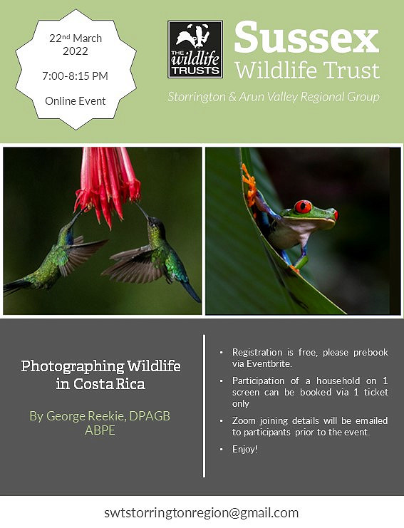 Online talk: Photographing Wildlife in Costa Rica