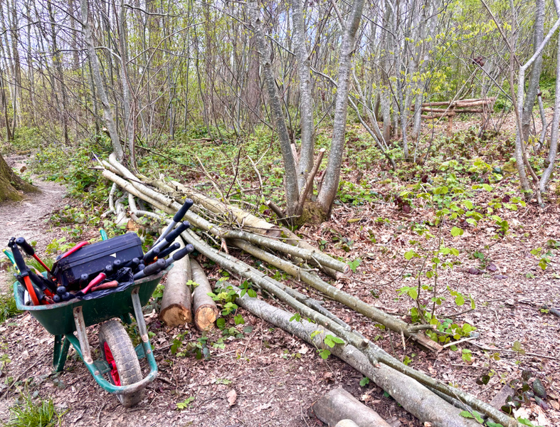 Creating a dead hedge Michelle Thomasson