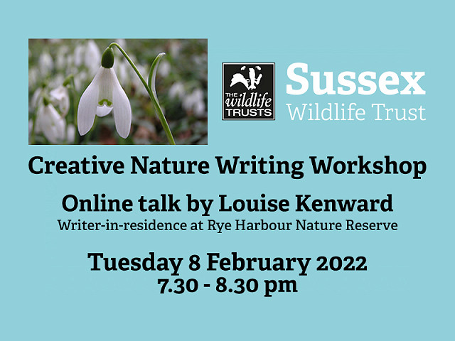 Webinar: Creative Nature Writing Workshop