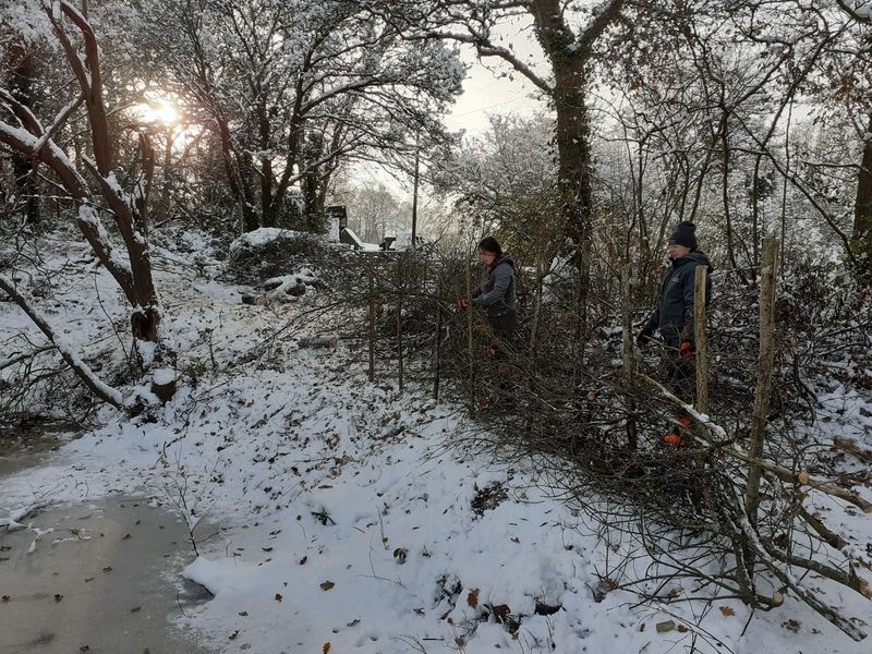 Heritage Trainee December 2022 update