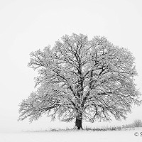 2. Deep Freeze - Simon Bone