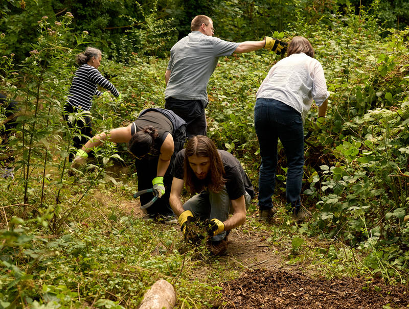 Wild work day team © Victoria Barrell Wild work day team © Victoria Barrell