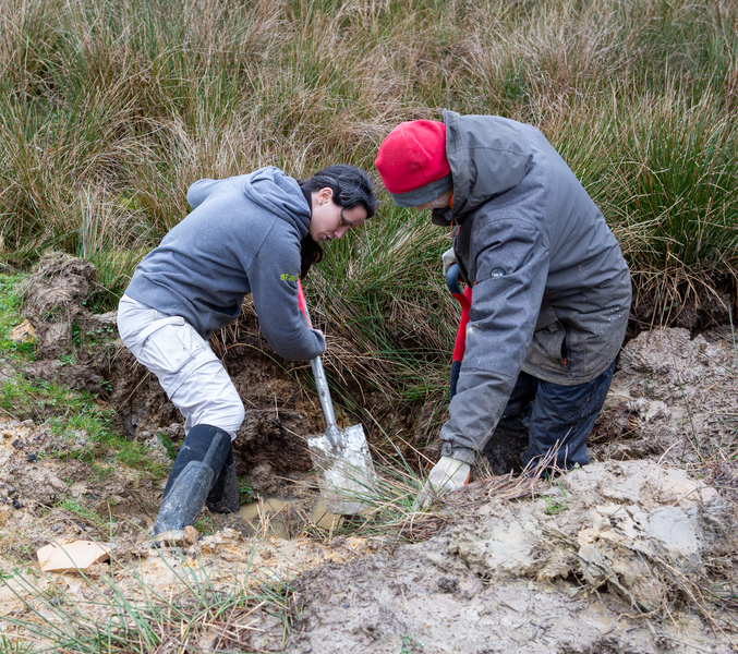 Digging a scrape © Roz Bassford